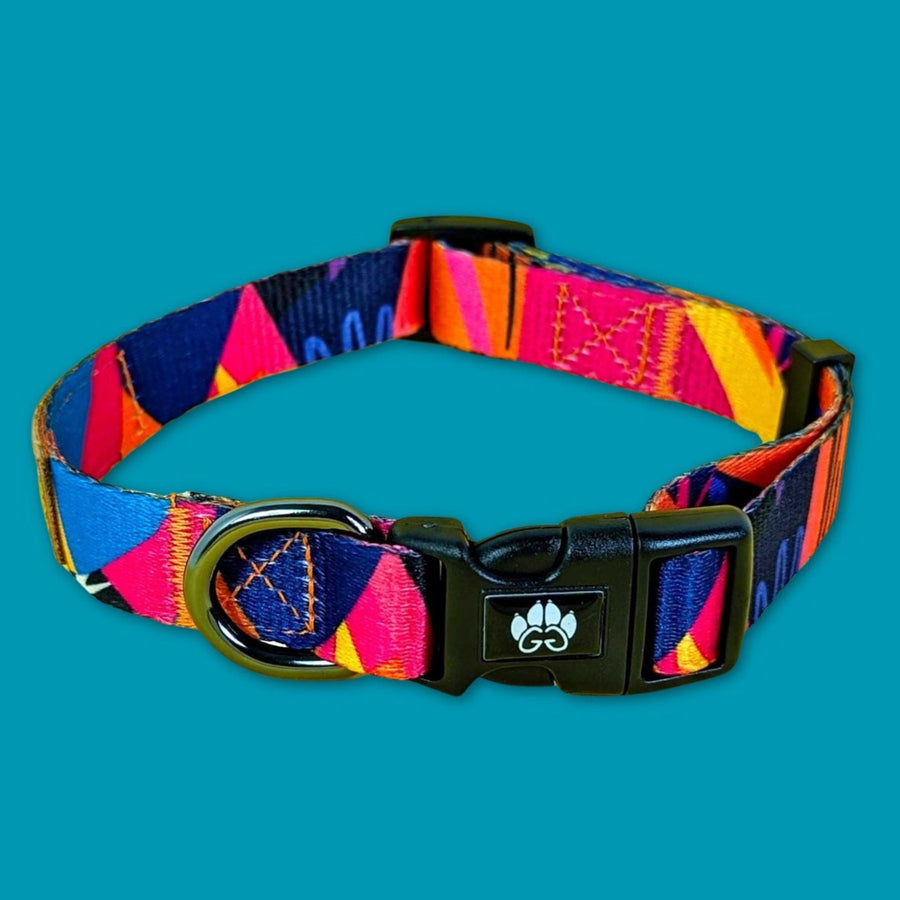 Collier pour chien de la collection Panache. Ce collier ultra coloré et tendance est aux couleurs bleus, violet, rose et jaunes.