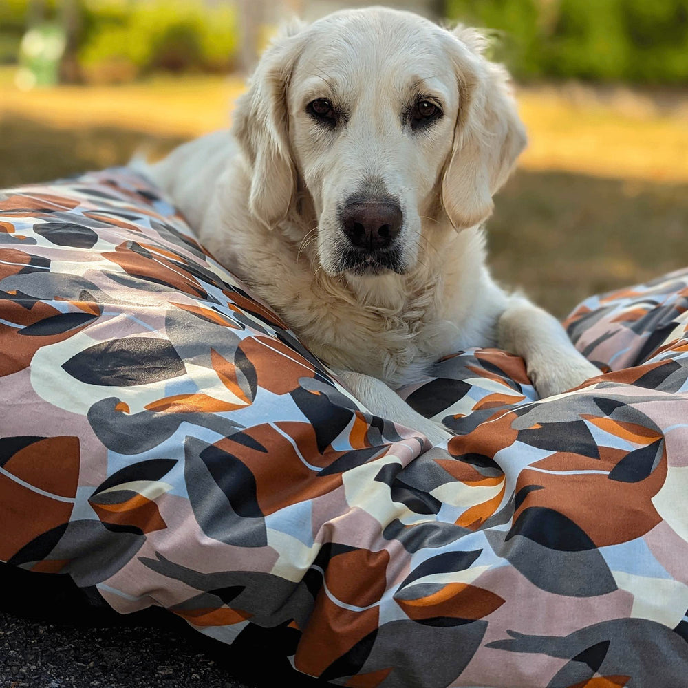 Chien Golden retriever couché sur un coussin confortable et tendance de la collection Nature et en taille L