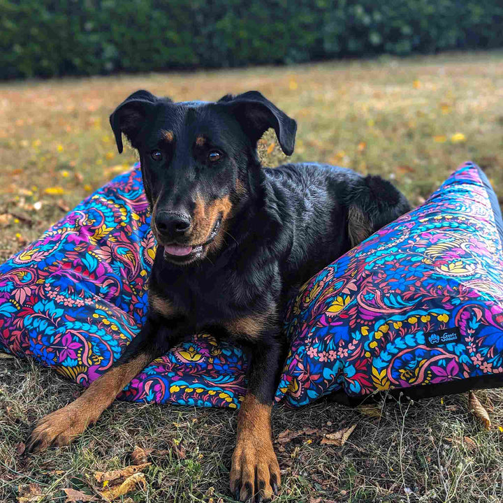 Coussin pour chien Envoûtant