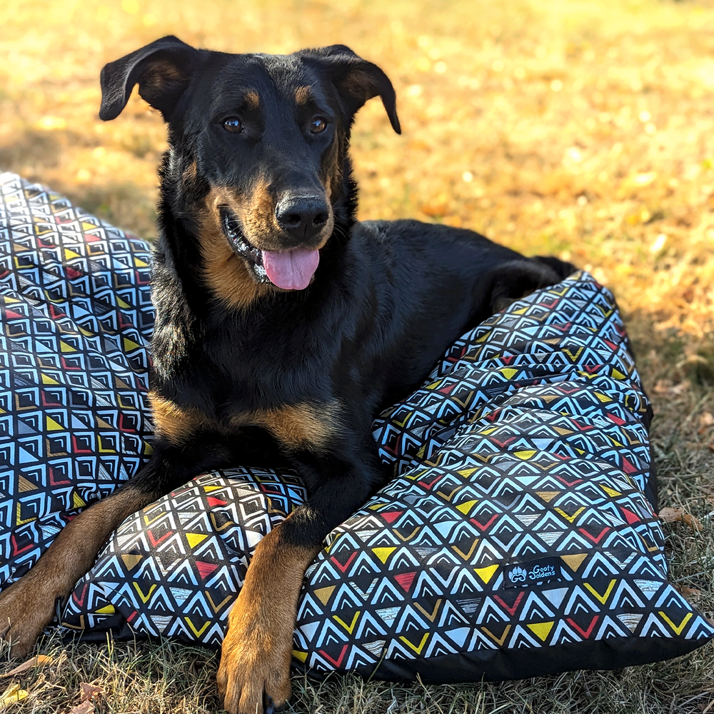 Suberbe beauceron couché confortablement sur un coussin chien de la collection Aztèque taille XL de la marque Goofy Goldens 