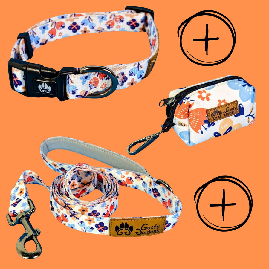 Kit de balade "Collier" de la collection Printemps comprenant: le collier, la laisse et le distributeur de sacs à crottes