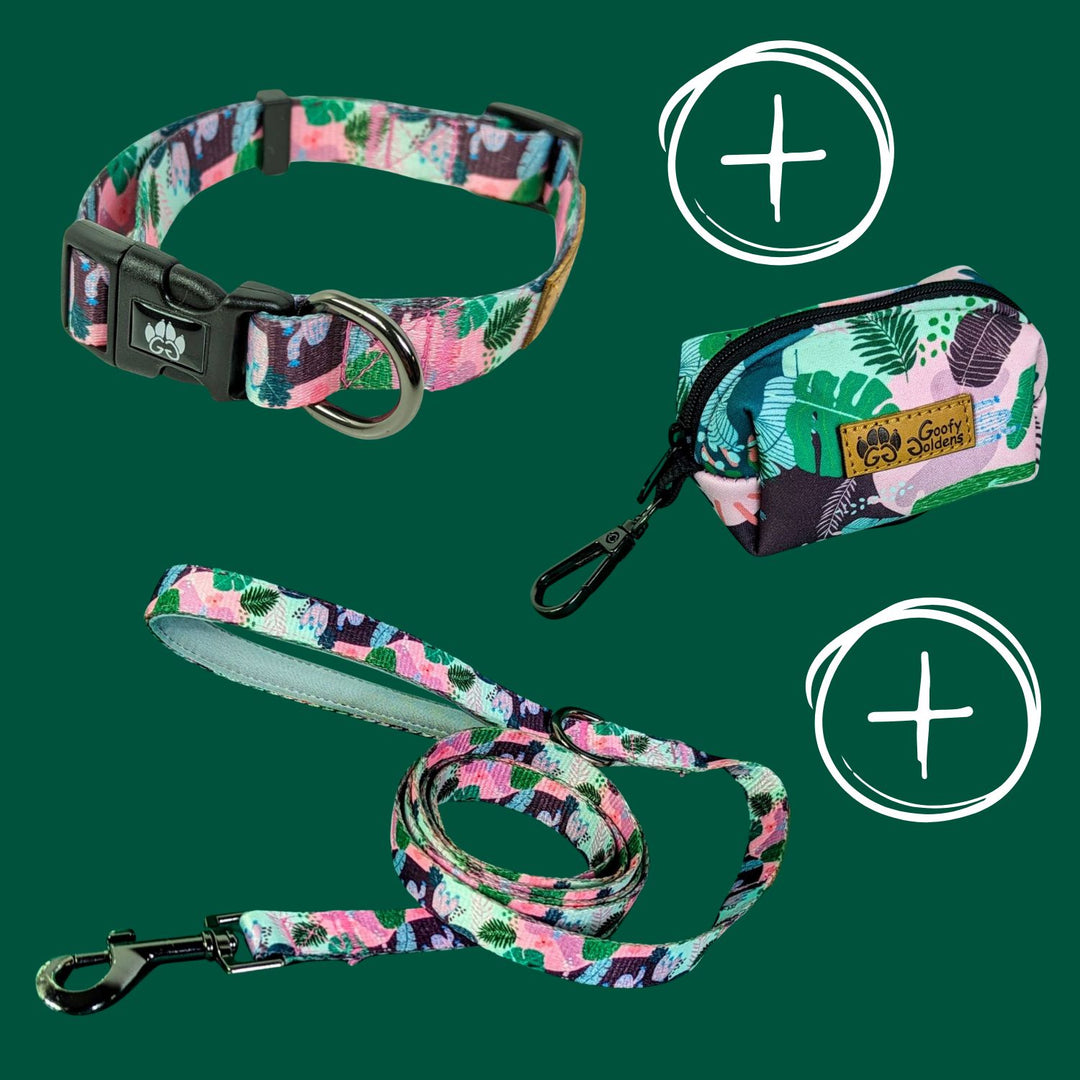 Kit de balade "Collier" de la collection cactus comprenant: le collier, la laisse et le distributeur de sacs à crottes
