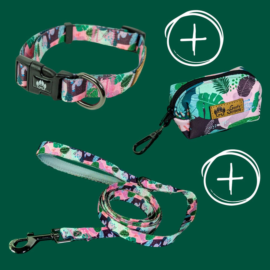 Kit de balade "Collier" de la collection cactus comprenant: le collier, la laisse et le distributeur de sacs à crottes