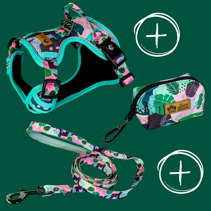 Kit de balade "Harnais anti traction" de la collection Cactus comprenant: le harnais, la laisse et le distributeur de sacs à crottes