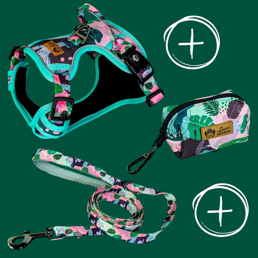 Kit de balade "Harnais anti traction" de la collection Cactus comprenant: le harnais, la laisse et le distributeur de sacs à crottes