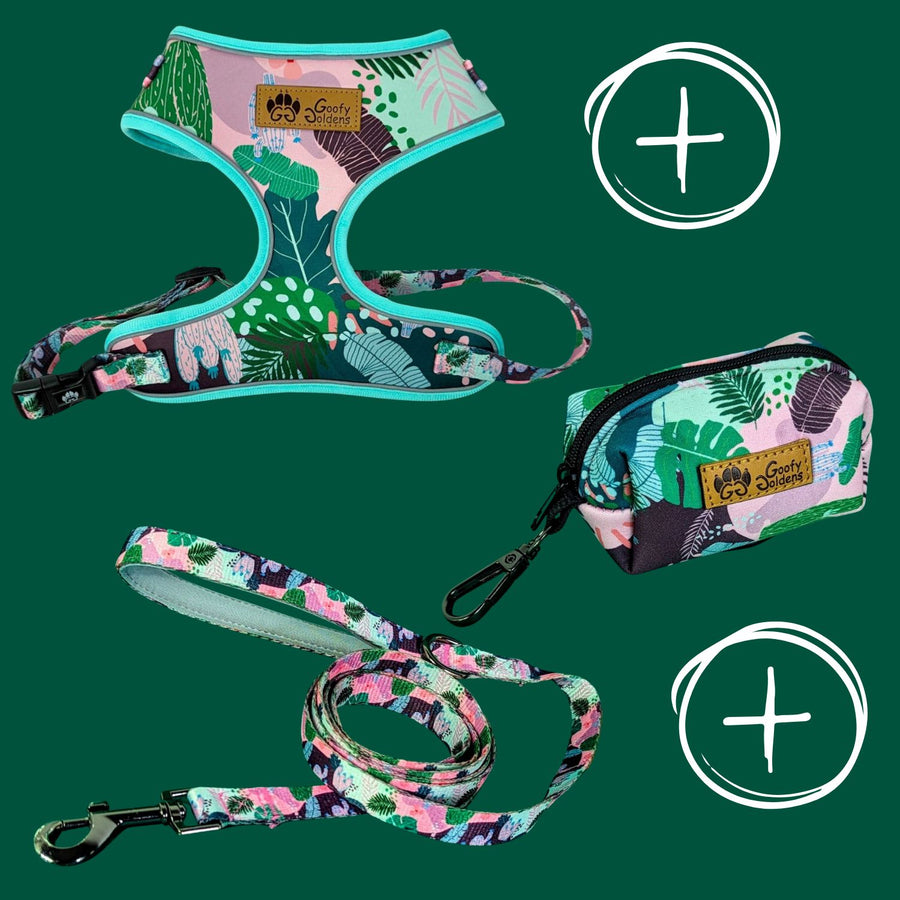 Kit de balade "Harnais" de la collection Cactus comprenant: le harnais, la laisse et le distributeur de sacs à crottes