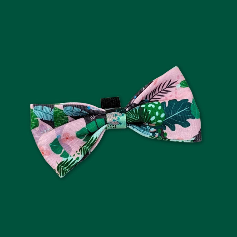 Noeud papillon pour chien de la collection cactus aux couleurs rose, vert et mauve