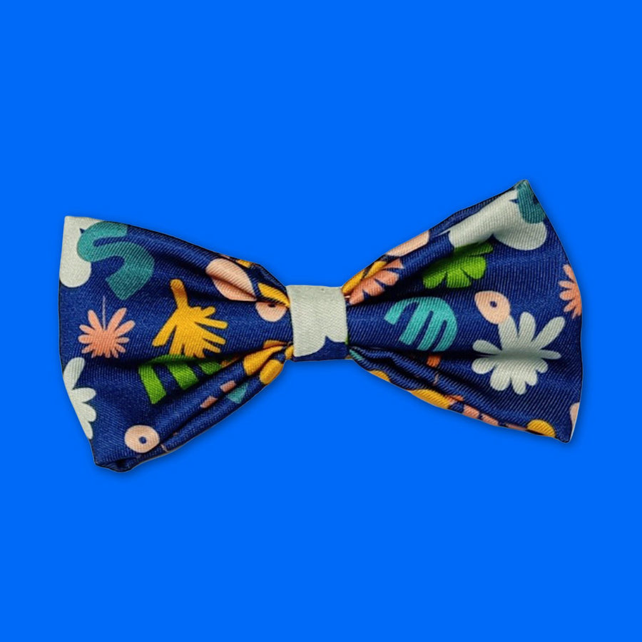 Noeud pour chien de la collection Deep Agua aux couleurs marine et multicolores