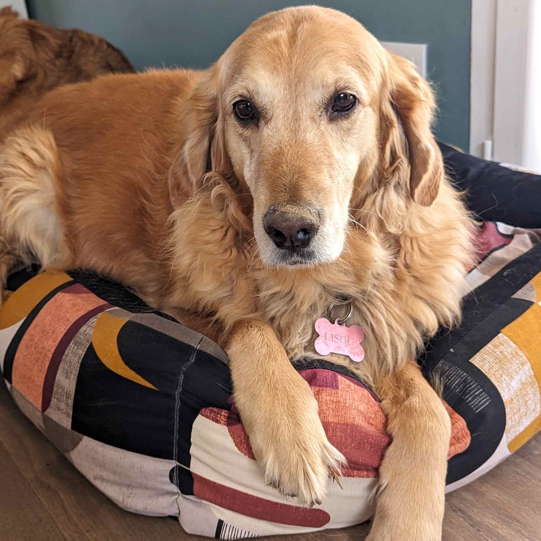 Panier pour chien Automne