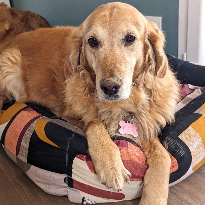 Panier pour chien Automne