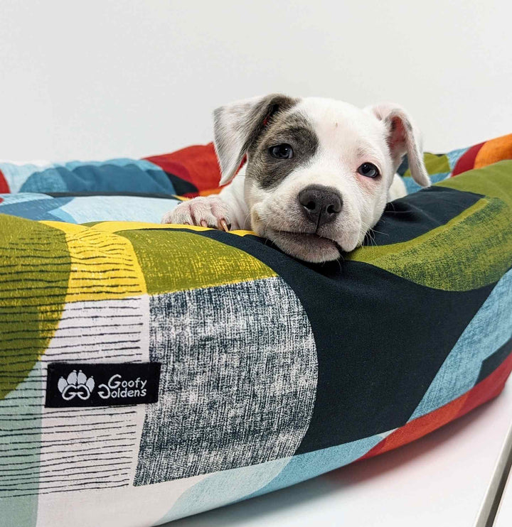 Panier pour chien Summer