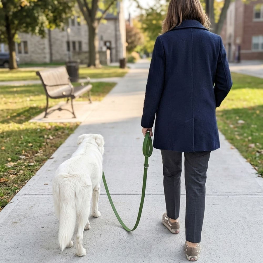 On aperçoit une femme de dos promenant son chien avec une laisse multipositions imperméable vert kaki.