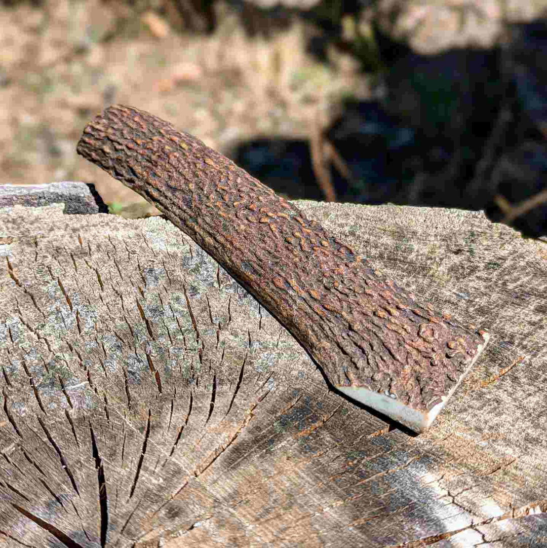 Bois de cerf fendu