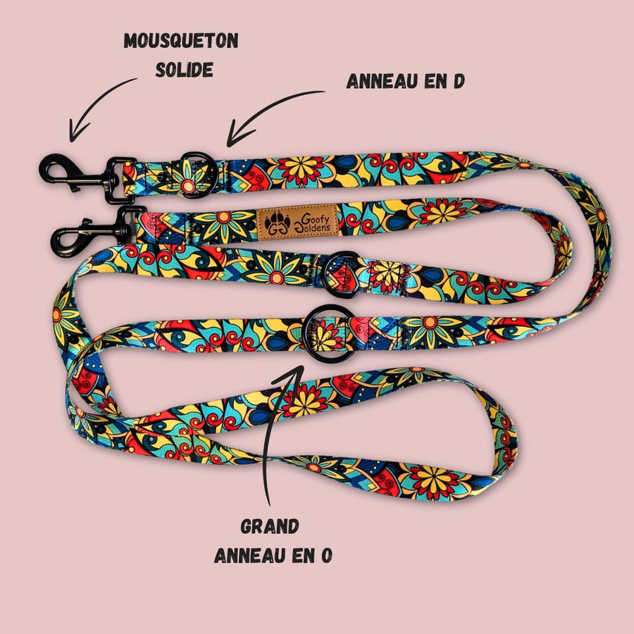 Laisse multiposition de la marque Goofy Goldens aux couleurs vertes, rouges, jaunes et bleues,équipée de deux grands anneaux en D, d'un anneau en O, ainsi que de deux mousquetons.
