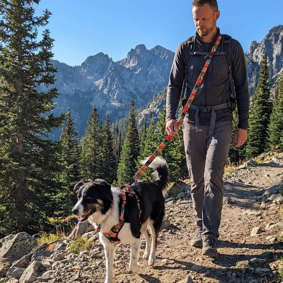 En pleine montagne, un homme marche avec son chien noir et blanc, la laisse multiposition Tropical portée en bandouliÚre.