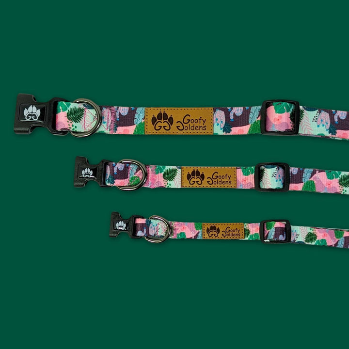 Les 3 tailles de collier pour chien de la collection Cactus sont présentés. on distingue ici les différentes largeurs.