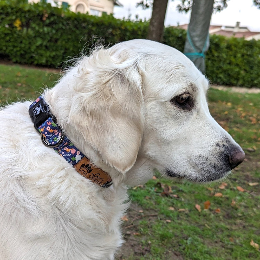 Zoom sur un chien blanc de profil, portant un très beau collier original et coloré Deep Agua bleu marine à motifs colorés de la marque Goofy Goldens