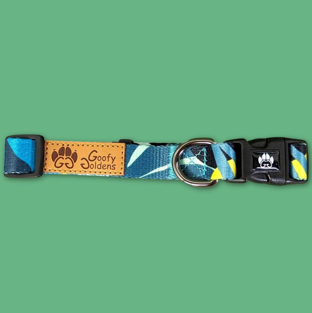 Collier pour chien Récif