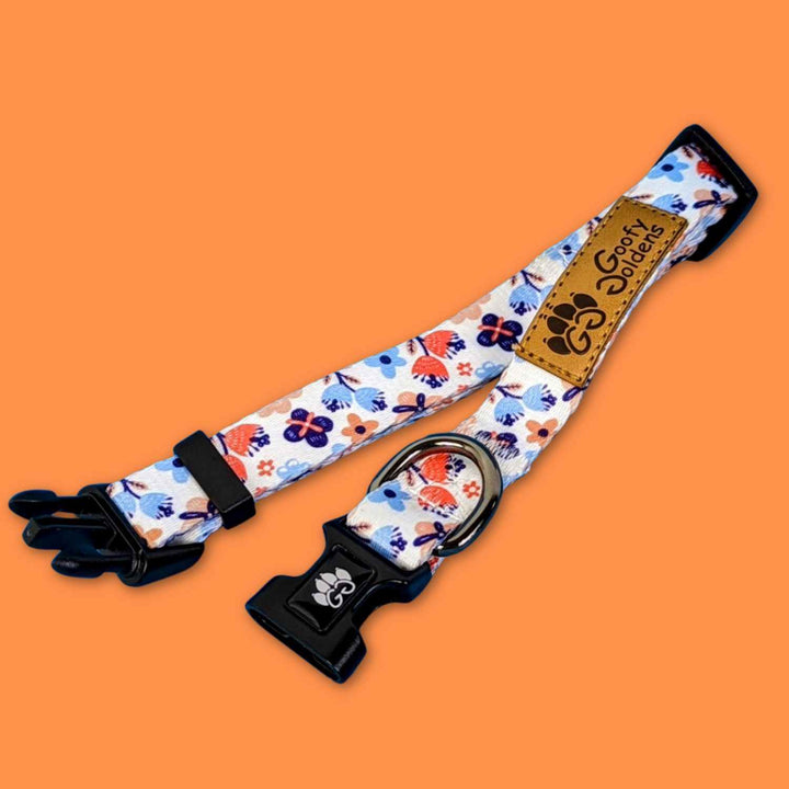 Dog collar Spring