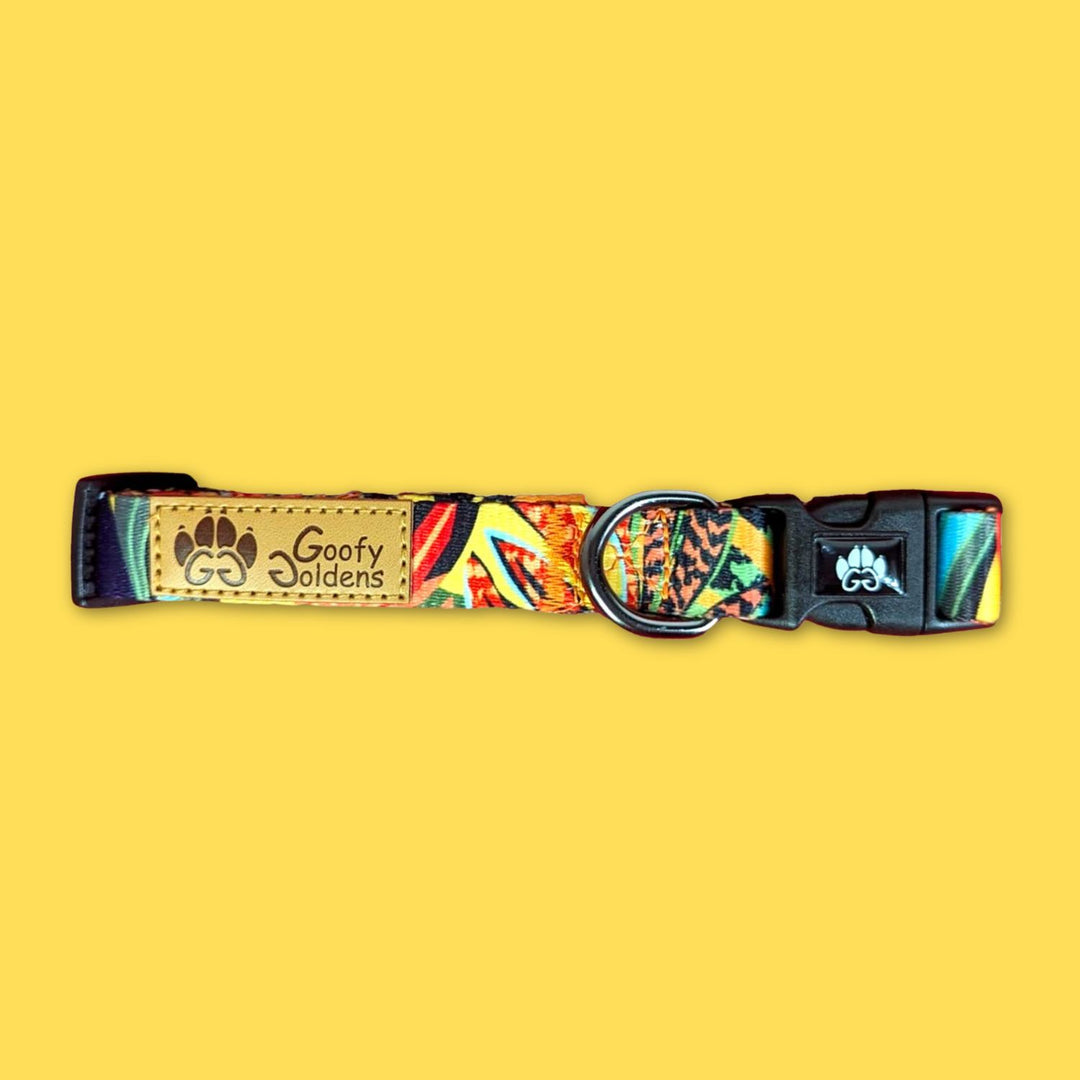 Joli collier chien coloré de la marque Goofy Goldens. Un must have pour votre toutou. Présneté ici sur la photo plié et à plat.
