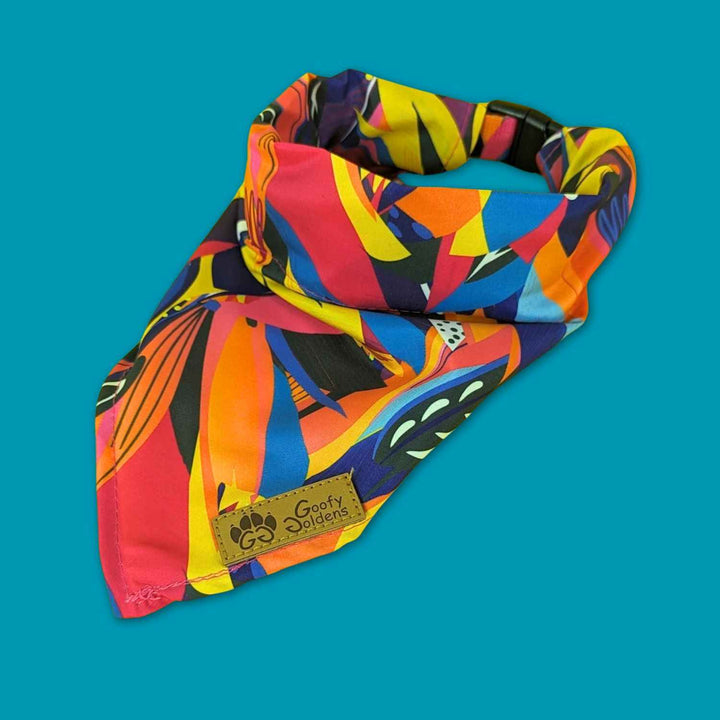 Très beau collier bandana panache pour chien aux belles couleurs bleu, fuschia, orange et jaune. Le collier est présenté posé et fermé.