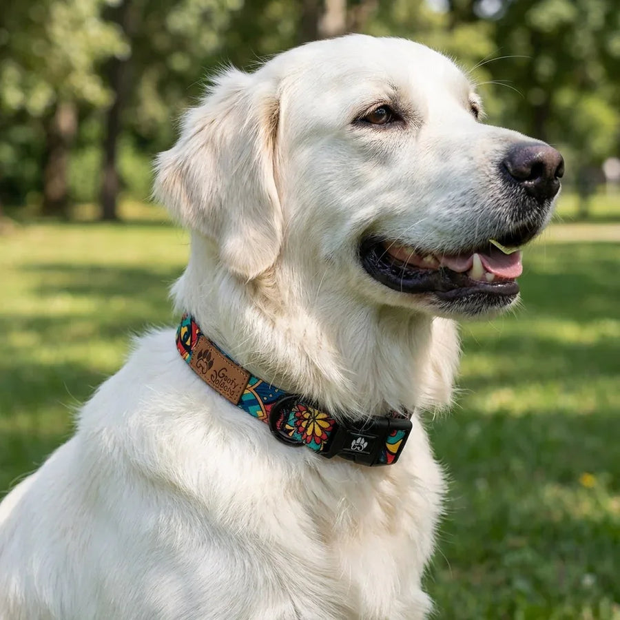 On aperçoit un golden blanc posant dans un parc, portant un collier Mandala aux motifs graphiques colorés mêlant vert, rouge, jaune et bleu de la marque GoofyGoldens.