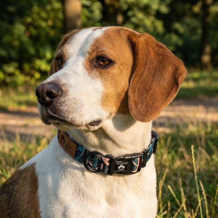 De profil, on aperçoit un chien marron et blanc arborant un collier Savane aux nuances de marron, vert et beige avec des motifs de feuillages et de tâches de léopard ; la boucle clip et l’anneau pour la laisse sont bien visibles.