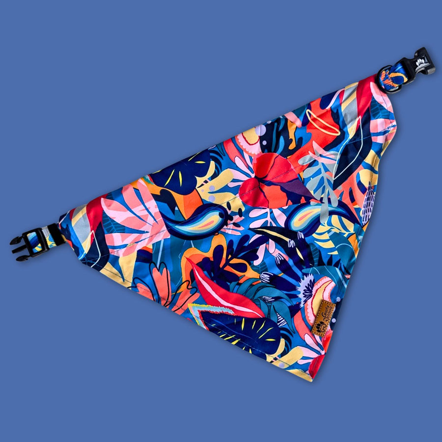 Vu sur le collier bandana Lagon aux couleurs vives ,ouvert de la marque Goofy Goldens.