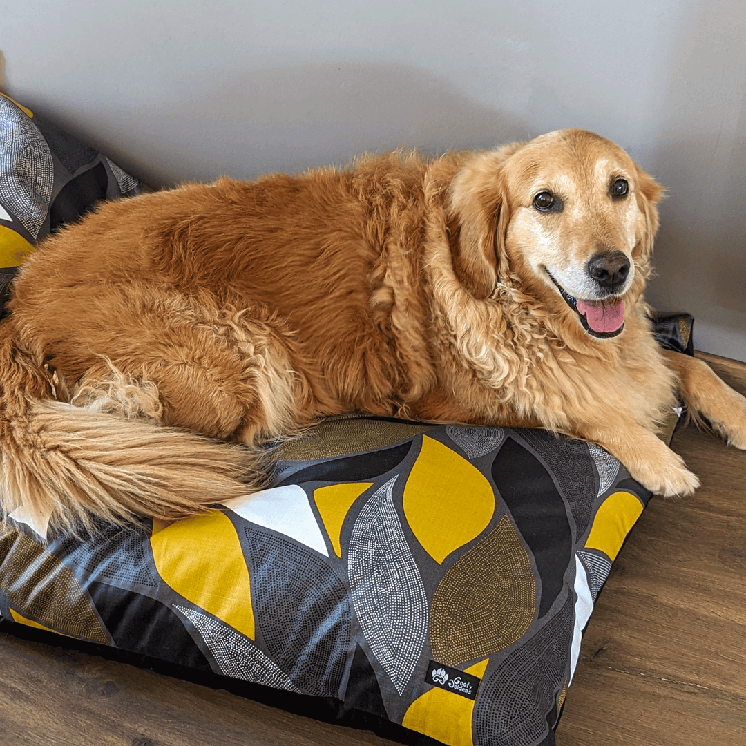 Golden retriever souriant allongé sur un coussin taille XL de la collection Elegant proposé par la marque colorée Goofy Goldens