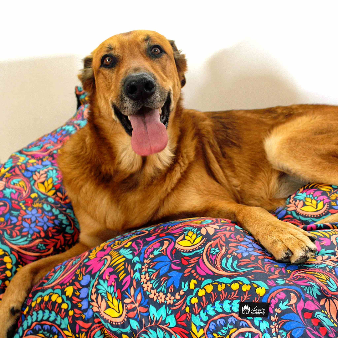 Coussin pour chien Envoûtant