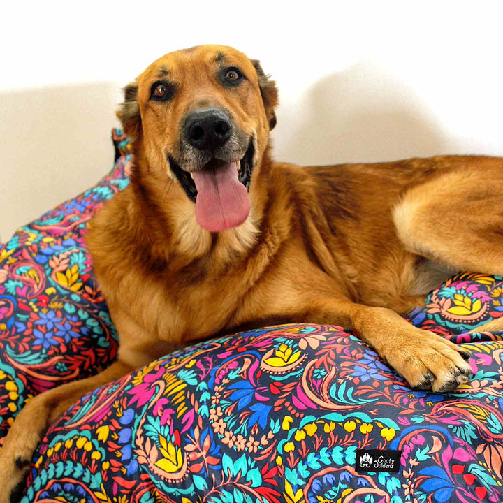 Coussin pour chien Envoûtant