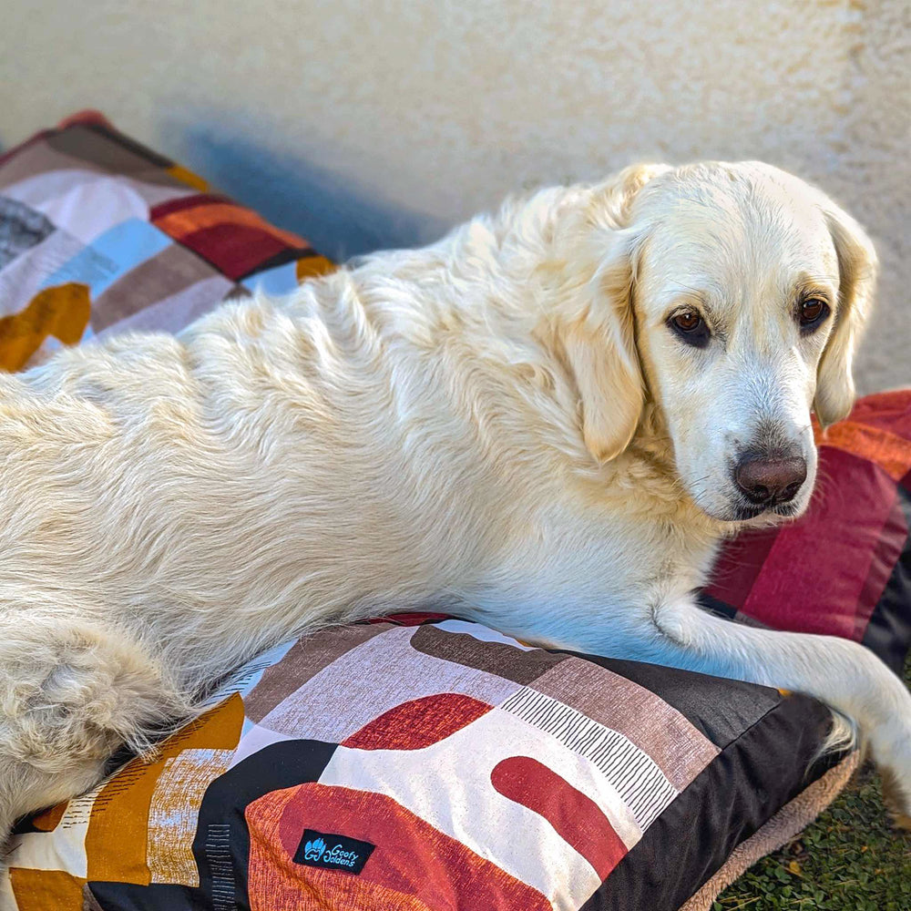 Chien Golden retriever blanc couché à l'extérieur sur son coussin collection Automne aux couleurs pourpres marron et noir
