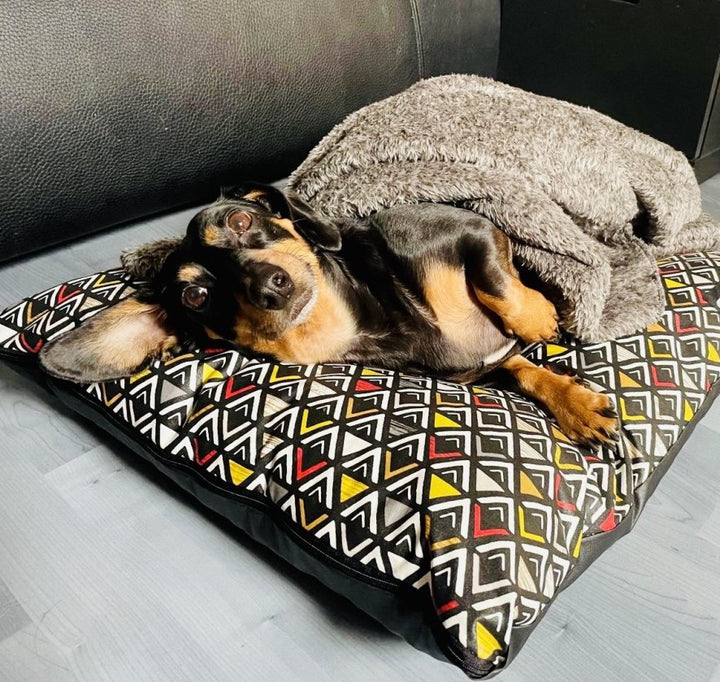 Petit Chien qui sourit à l'objectif et couché sur un coussin taille M de la collection Aztèque.