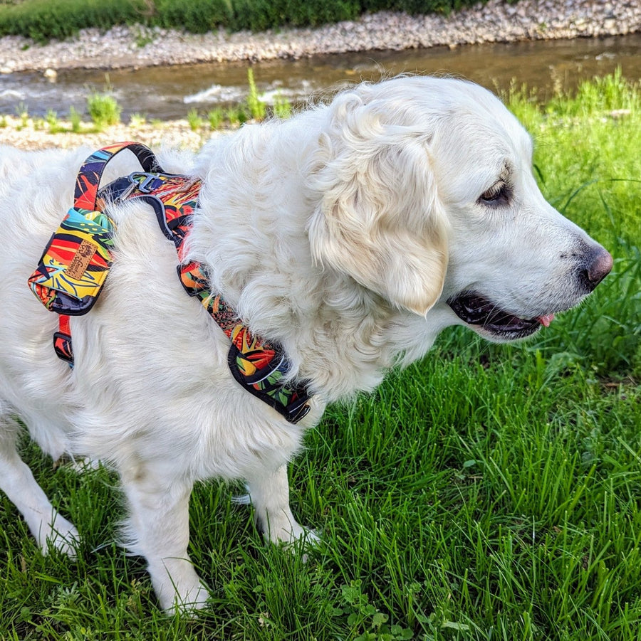 Chien blanc portant le harnais anti-traction Tropical oĂč est attachĂ© Ă l'anneau en D un distributeur de sacs Ă cacas de la mĂȘme collection.