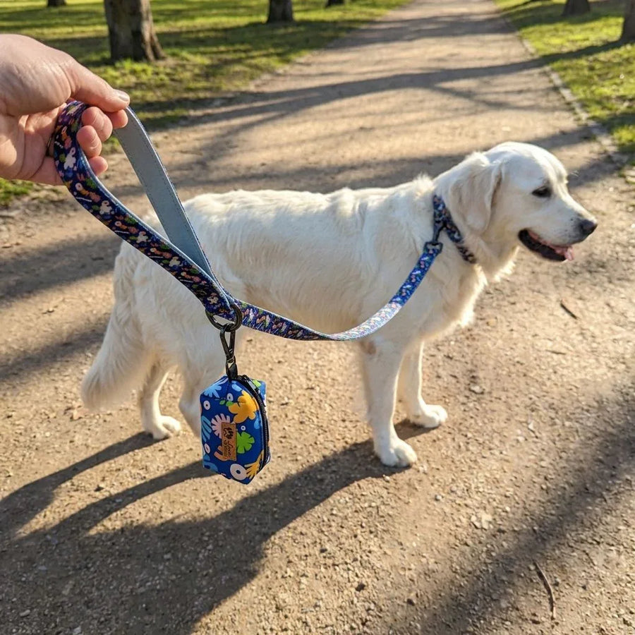 Pochette à sacs à crottes Deep Agua attachée à la laisse et au collier coordonnés, en balade avec un chien au parc.