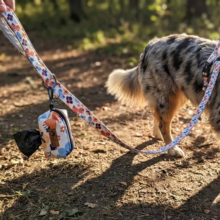 pochette de sacs à crottes avec laisse et chien portant le harnais printemps Confort
