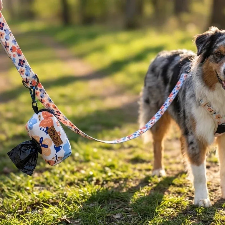 Pochette de sacs à déjection Printemps accroché à une laisse et promenant un chien de type berger australien