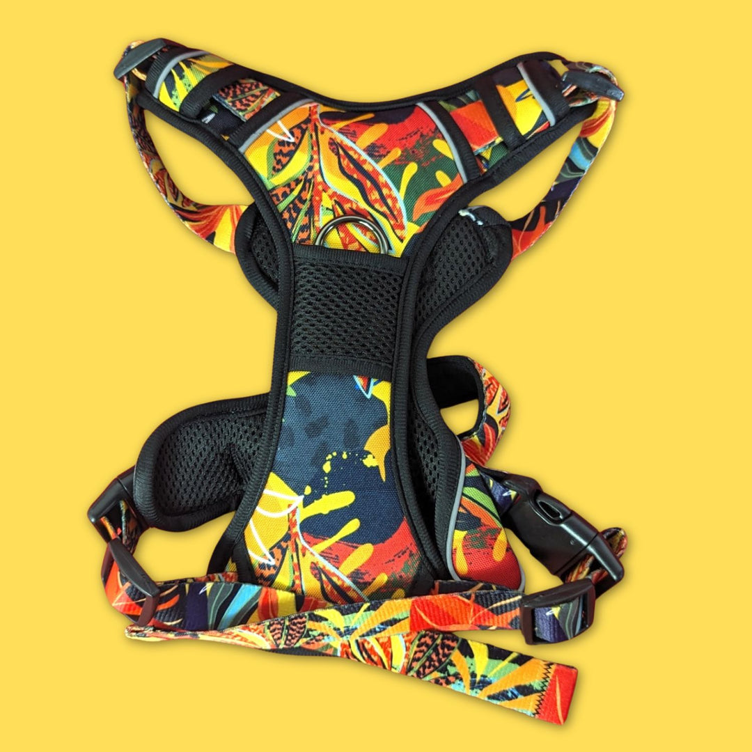 Jolie harnais anti-traction tropical aux explosions de couleurs vibrantes. On voit peut voir l'avant du produit Goofy Goldens.