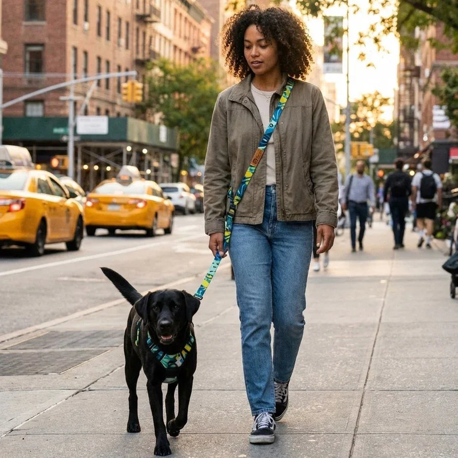 En plein centre-ville, une femme porte son chien en bandoulière, la laisse multiposition Récif étant attachée au harnais assorti de la même collection.