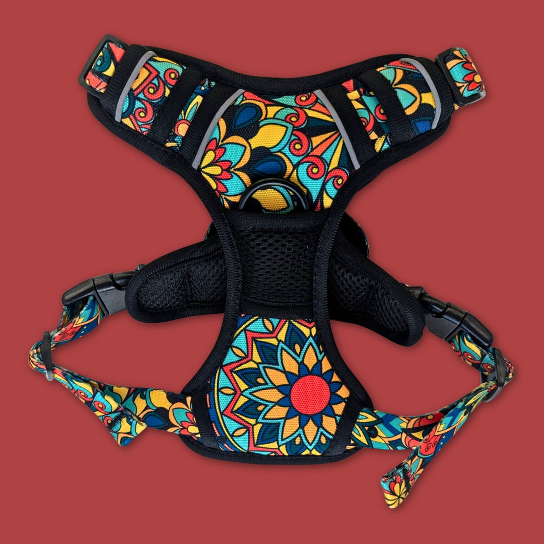 On peut voir l'avant du harnais anti-traction Mandala aux couleurs vives de la marque Goofy Goldens.
