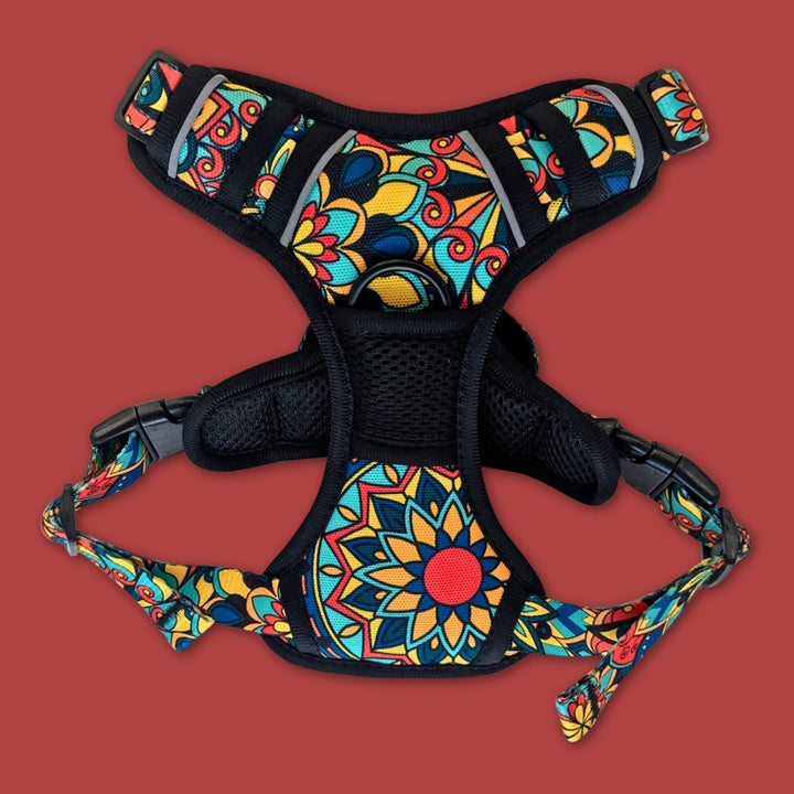 On peut voir l'avant du harnais anti-traction Mandala aux couleurs vives de la marque Goofy Goldens.