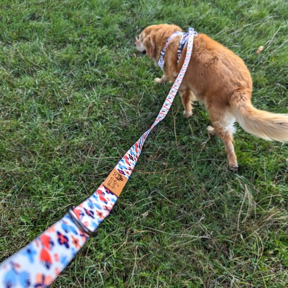 Laisse jolie aux motifs floraux bleu et orange. On aperçoit ici un chien tenu en laisse et portant le harnais du même type