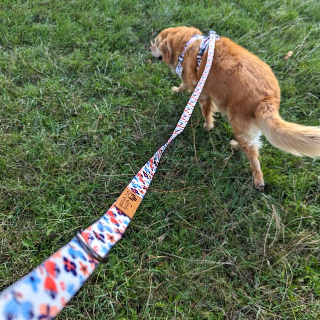 Laisse jolie aux motifs floraux bleu et orange. On aperçoit ici un chien tenu en laisse et portant le harnais du même type