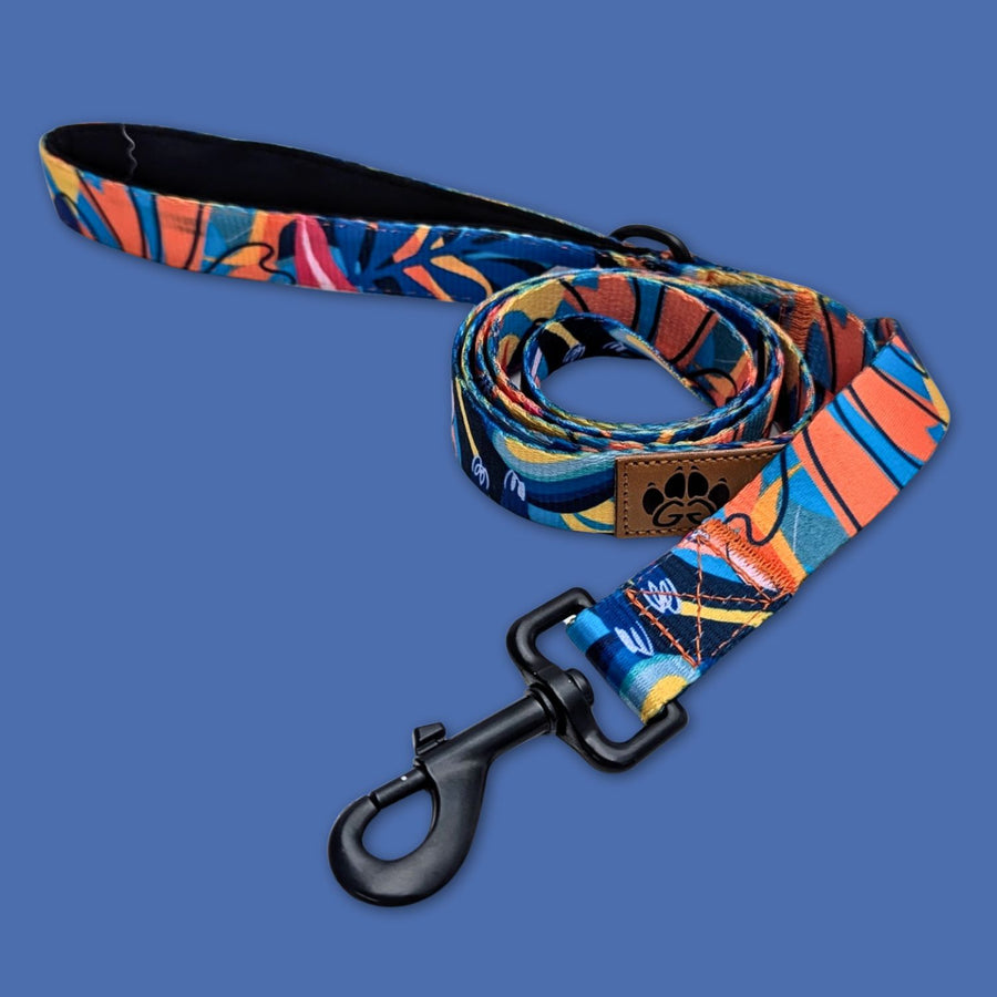 Laisse pour chien originale et colorée aux mélanges de bleu, rouge, orange, jaune et noir de la marque Goofy Goldens.