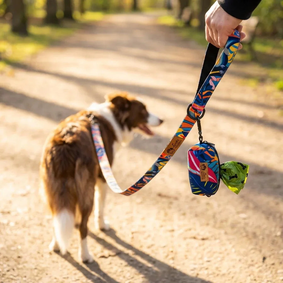 Dans le parc, un maĂźtre et son chien profitent dâune promenade paisible, le chien Ă©quipĂ© dâun harnais et dâune laisse Lagon, avec une pochette Ă sacs Ă crottes fixĂ©e Ă la laisse et un sac prĂȘt Ă ĂȘtre utilisĂ©.