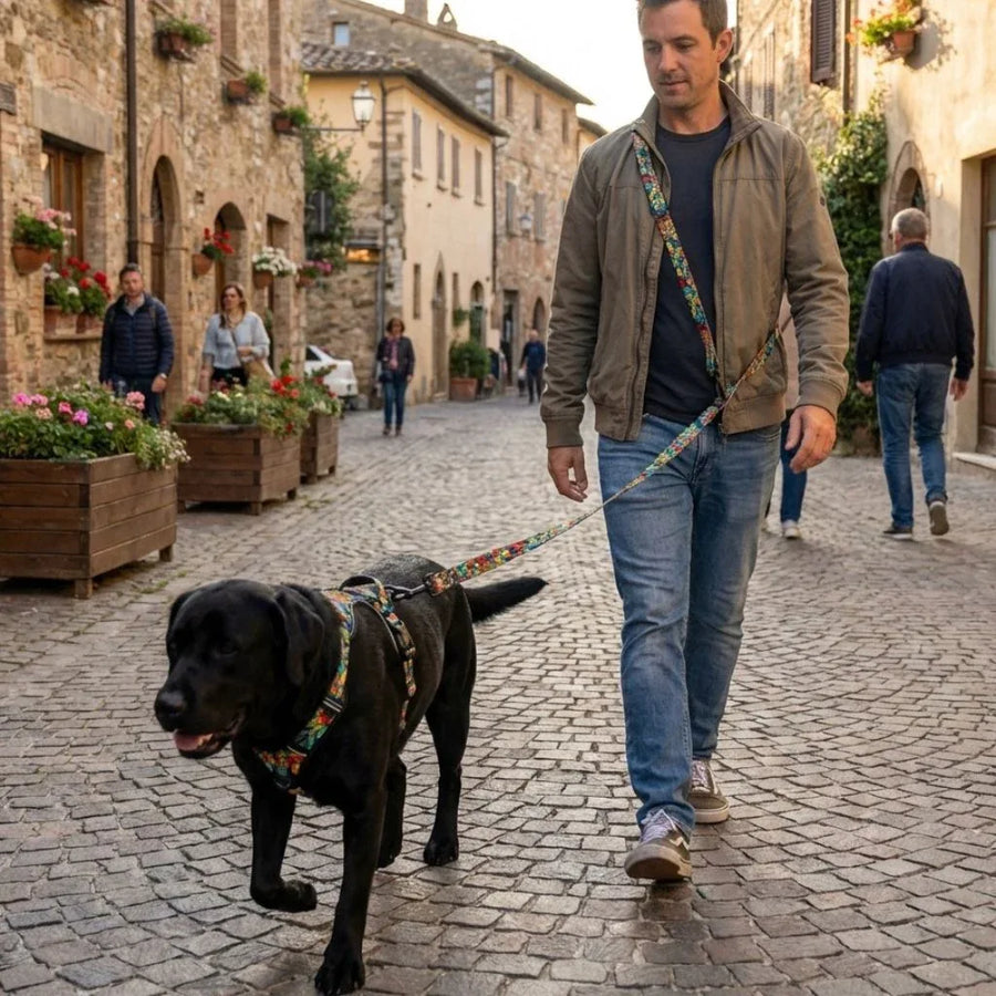 Un homme se promène dans un petit village avec son labrador, équipé d’un harnais et de la laisse multiposition Mandala portée en bandoulière.