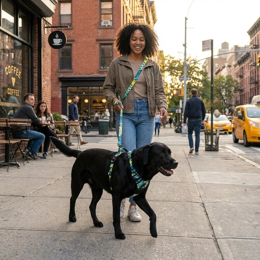 En ville, une femme promène son labrador noir avec la laisse multiposition Récif portée en bandoulière, parfaitement assortie au harnais de la même collection.