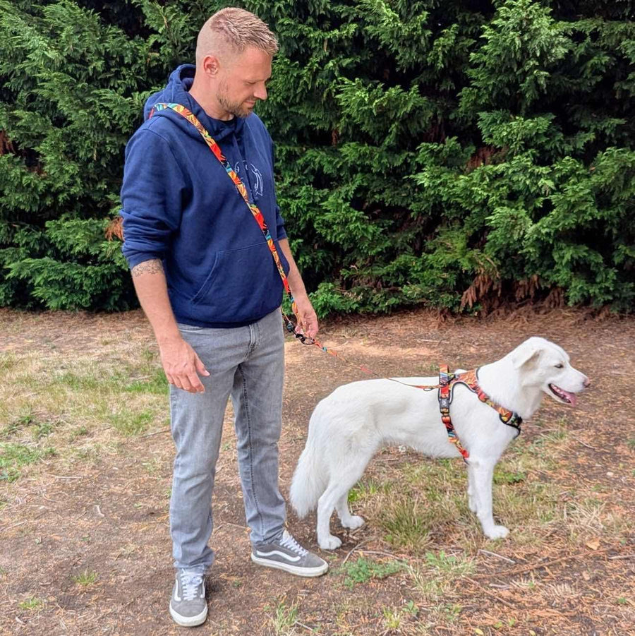 Le maßtre tient son chien en bandouliÚre, relié par la laisse multiposition Tropical accrochée au harnais de la collection.