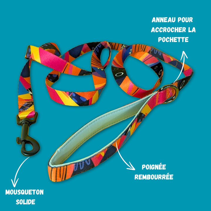 Caractéristiques de la laisse Panache. On peut voir ses couleurs, bleu, violet, orange et fuschia ainsi qu'un mousqueton solide, un anneau d'accoche pour pochette et la poignée rembourrée