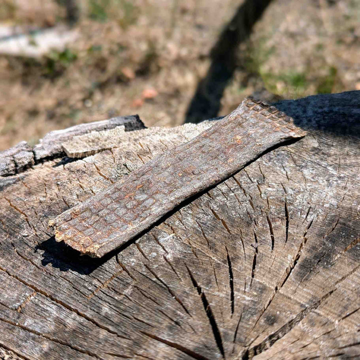 Lanière viande de cerf x15